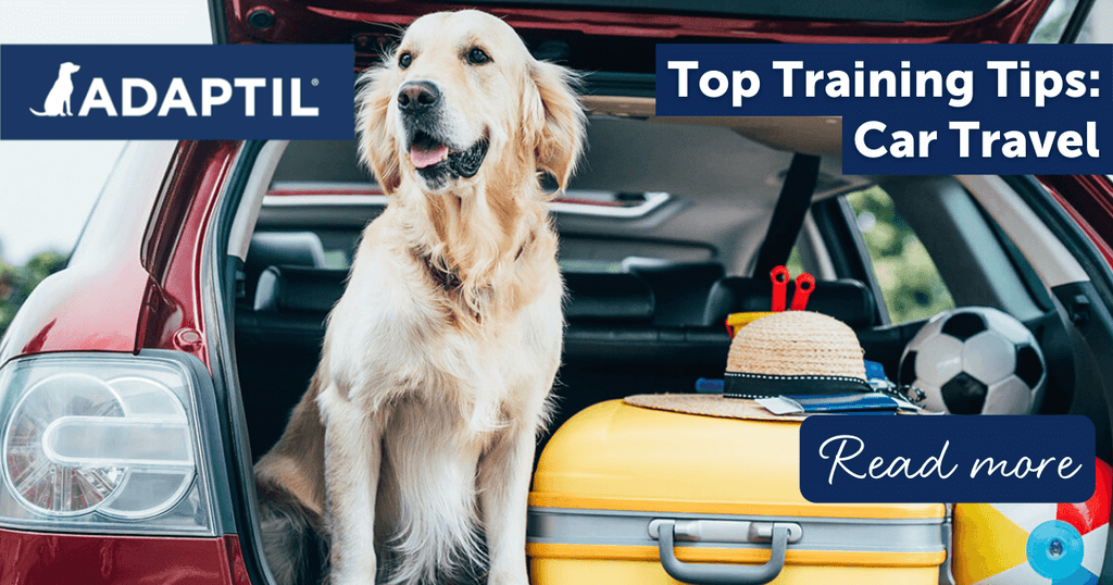 Top Training Tips Make Car Travel Easy ADAPTIL