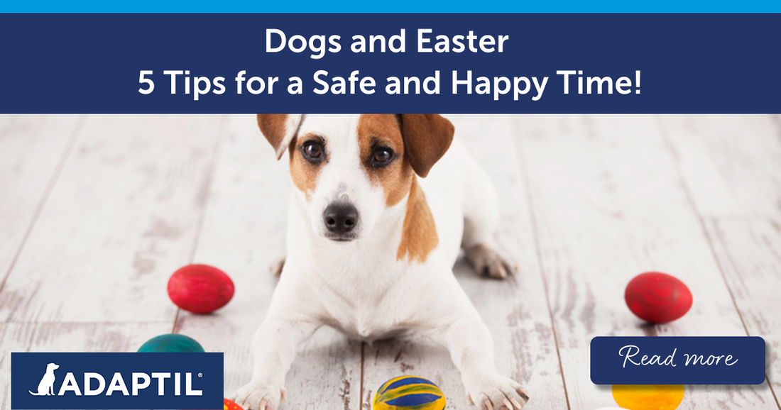 Dogs and Easter - 5 Tips for a Safe and Happy Time!