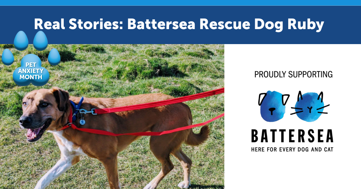 Real Stories: Battersea Rescue Dog Ruby