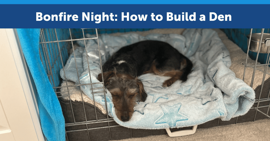 Bonfire Night: How to Build a Den