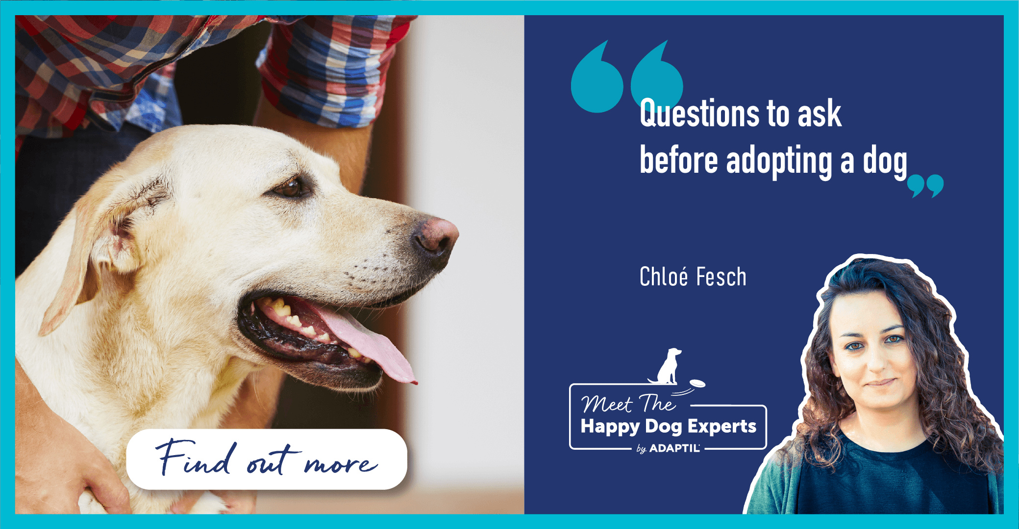 Questions To Ask Before Adopting A Dog - Happy Dog Expert.