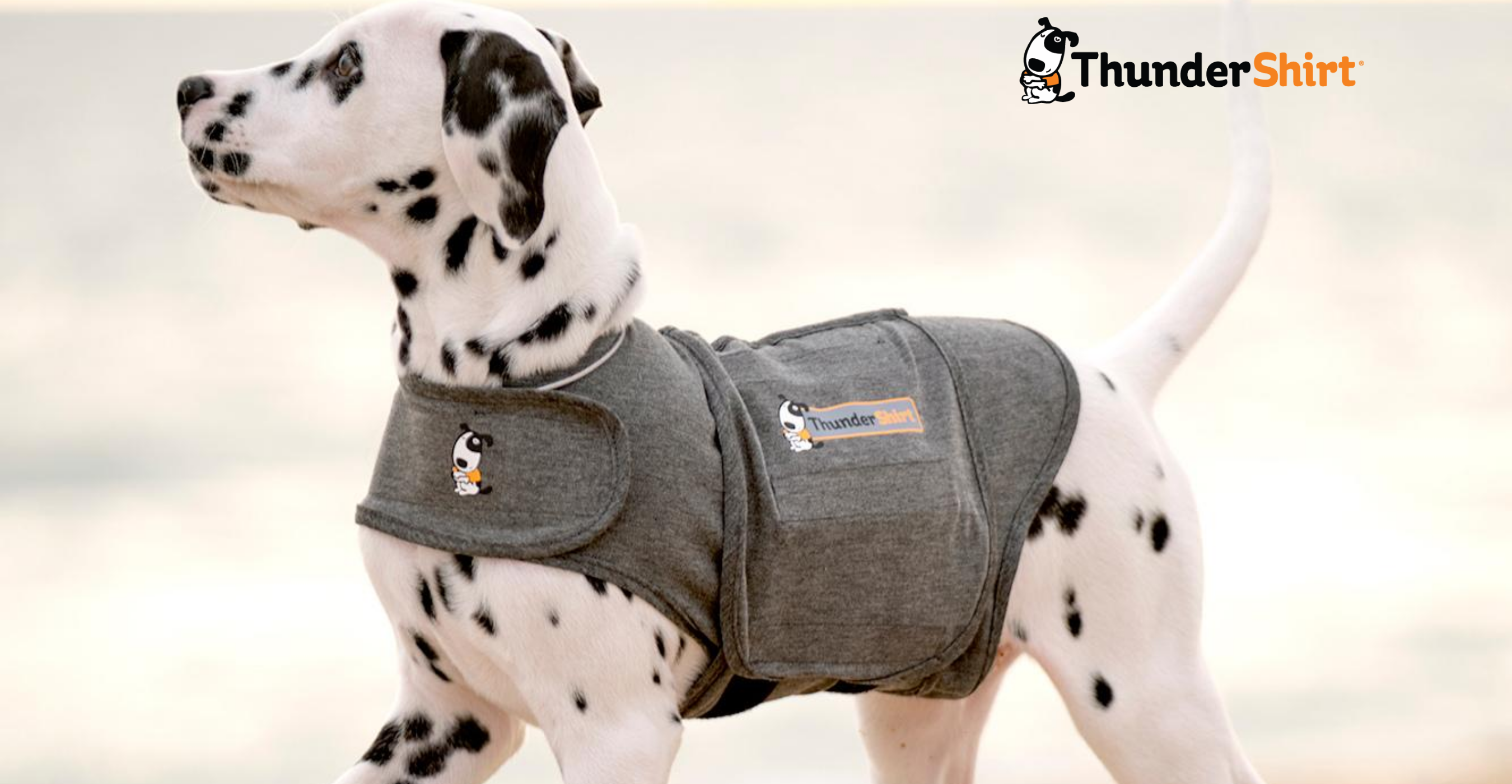 What Is Thundershirt?