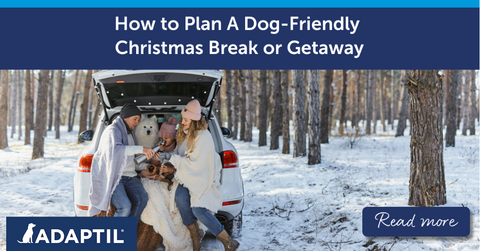 Family on a road trip with dog in car boot.  