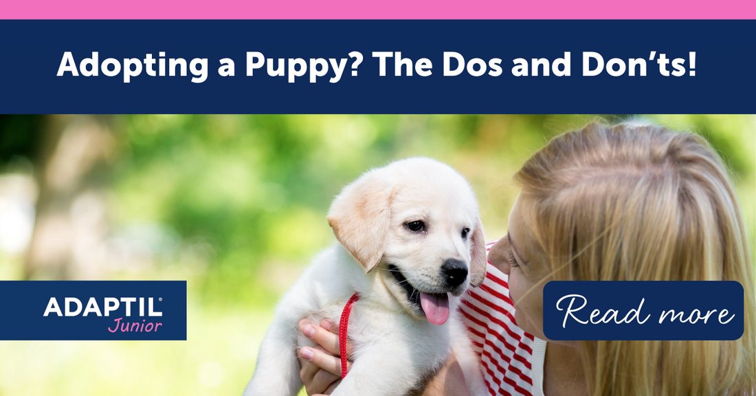 Adopting a Puppy? The Dos and Don'ts!