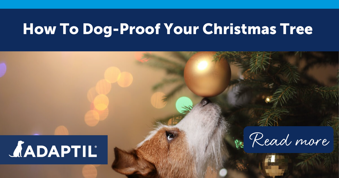 How to Dog-Proof Your Christmas Tree