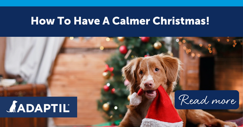 How to Have a Calmer Christmas