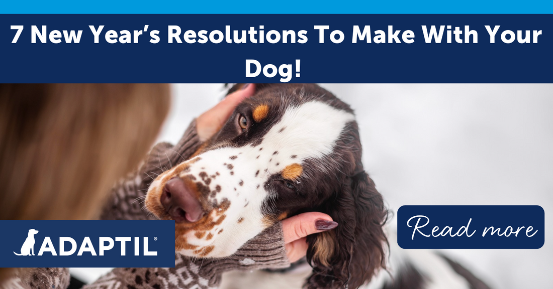 7 New Year's Resolutions to Make With Your Dog!