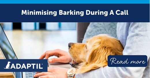 Minimising barking during a call