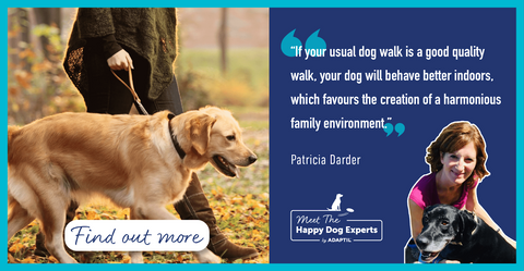 Benefits of Dog Walking - For Dog and Family. Happy Dog Expert Explains