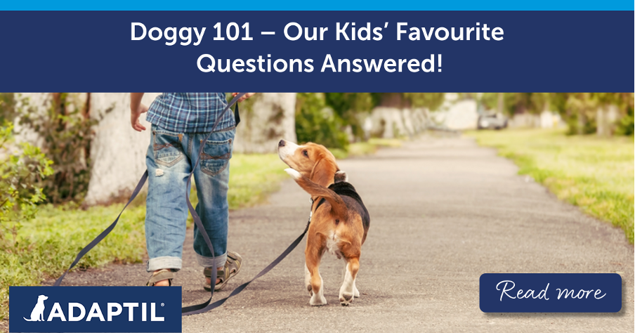 Doggy 101 – Our Kids’ Favourite Questions Answered!