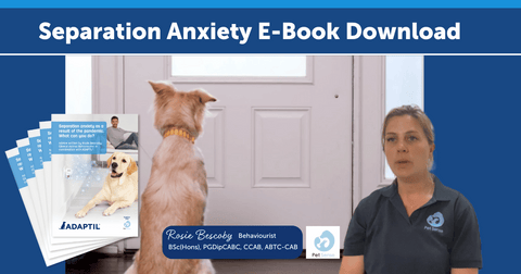 Separation Anxiety E-Book Download