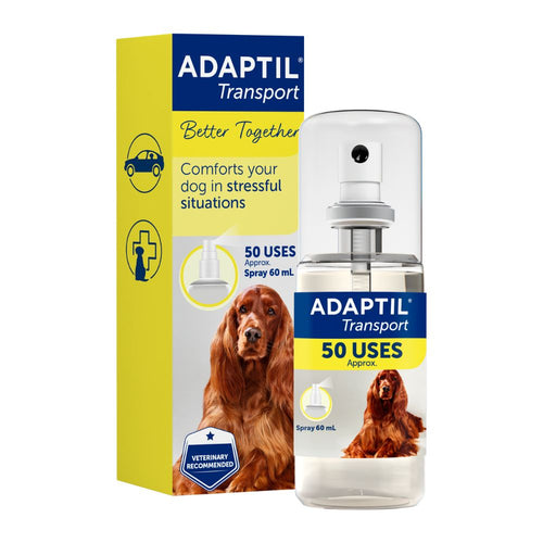 Medicine to give dogs for anxiety best sale